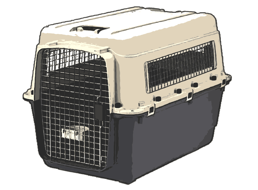 クレートに慣れさせることがとても重要です。